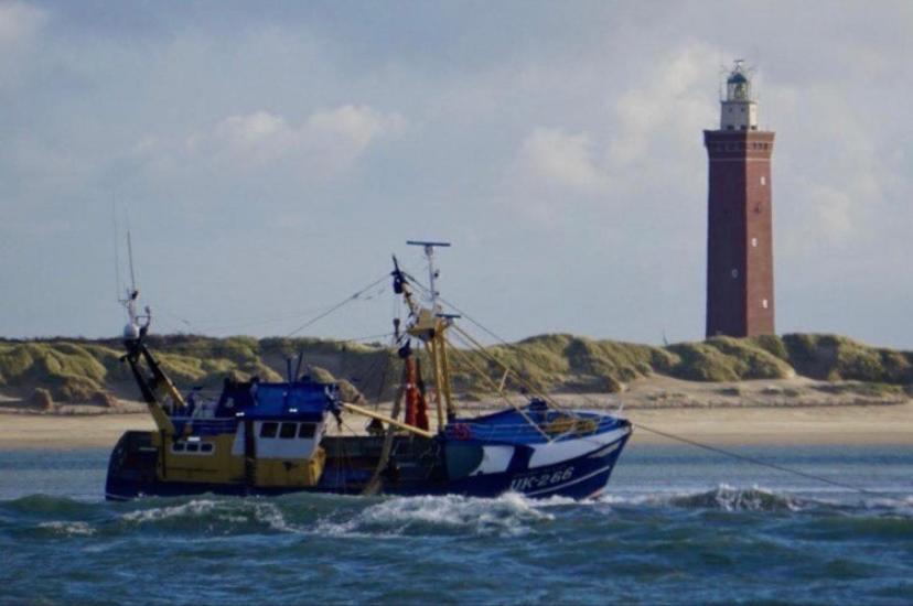 Caravan Stadstuin Goedereede Let Op De Badkamer Moet Met Andere Gasten Gedeeld Worden Esterno foto