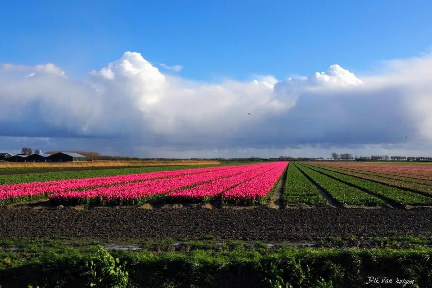 Caravan Stadstuin Goedereede Let Op De Badkamer Moet Met Andere Gasten Gedeeld Worden Esterno foto